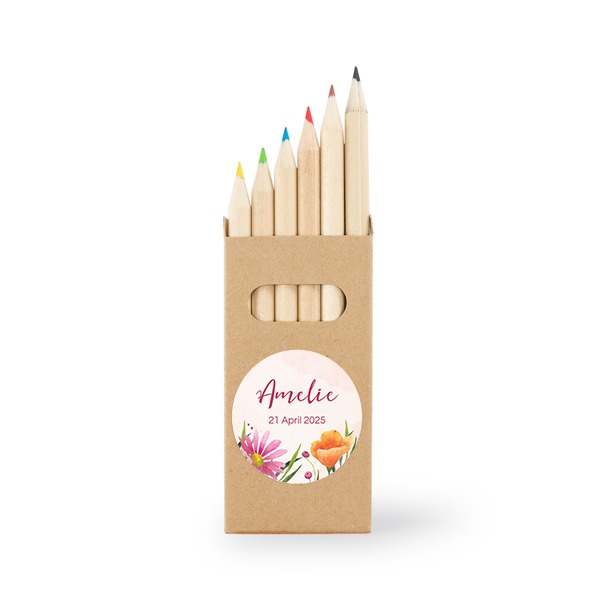 BoĂźtes de crayons de couleur (lot de 12) BoĂźtes de crayons de couleur (lot de 12)