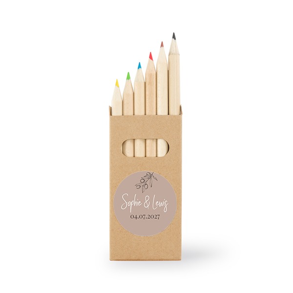 Boîtes de crayons de couleur (lot de 12) Boîtes de crayons de couleur (lot de 12)