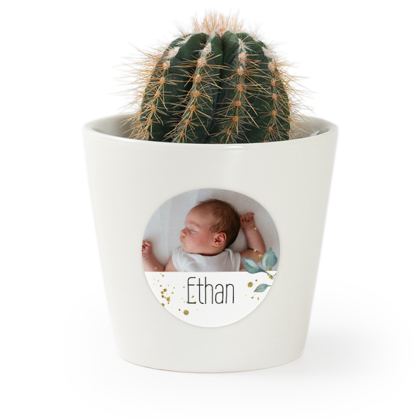 Plant Pot with Sticker - Set of 12 Plant Pot with Sticker - Set of 12