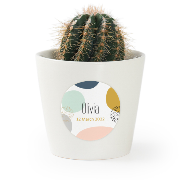Plant Pot with Sticker - Set of 12 Plant Pot with Sticker - Set of 12