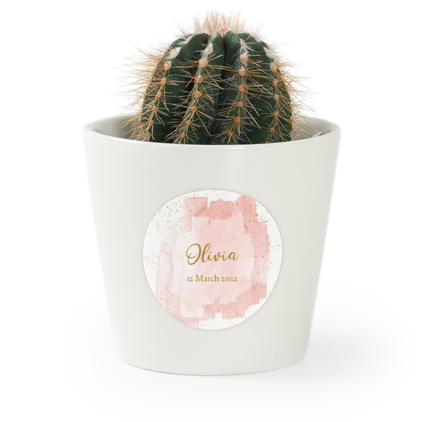 Plant Pot with Sticker - Set of 12