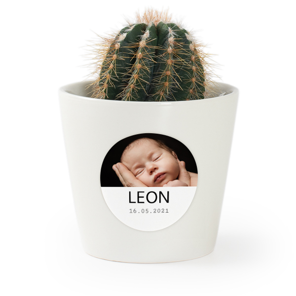 Plant Pot with Sticker - Set of 12 Plant Pot with Sticker - Set of 12