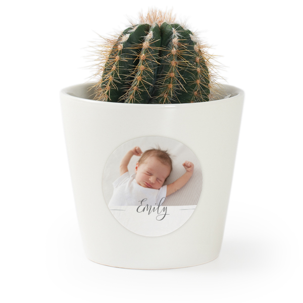 Plant Pot with Sticker - Set of 12