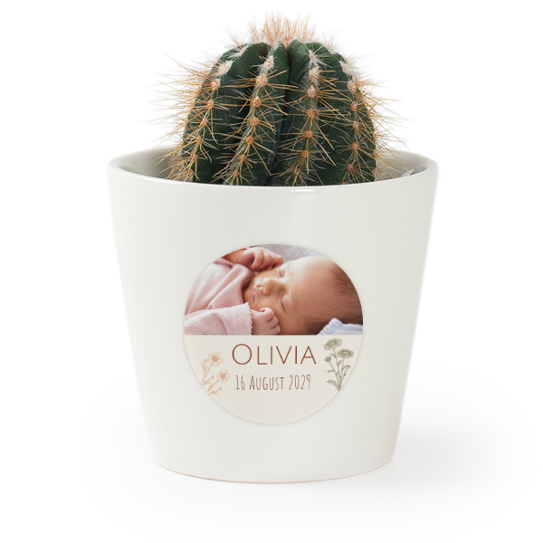 Bloempot met sticker - set van 12 Bloempot met sticker - set van 12