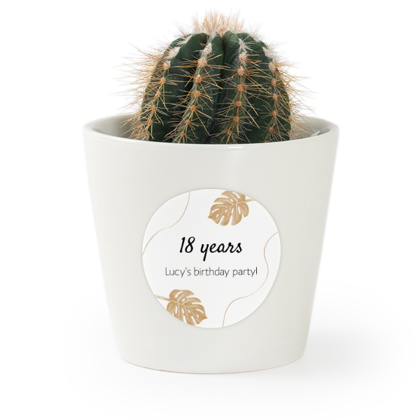 Bloempot met sticker - set van 12 Bloempot met sticker - set van 12