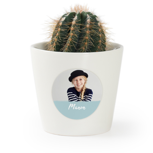 Flower pot with sticker - set of 12