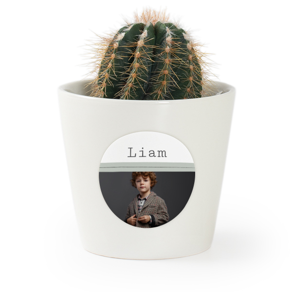 Plant Pot with Sticker - Set of 12