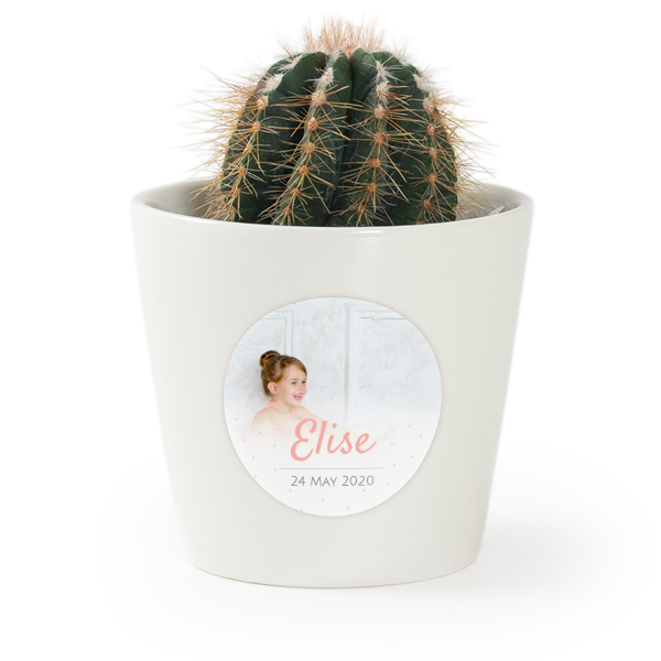 Flower pot with sticker - set of 12