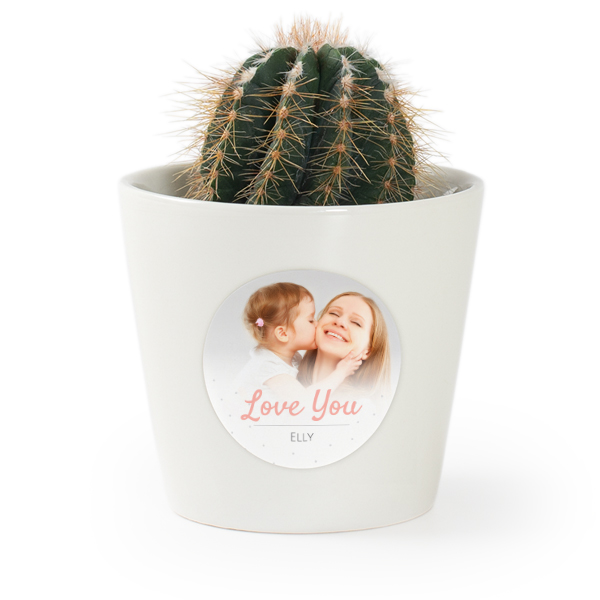 Flower pot with sticker - set of 12