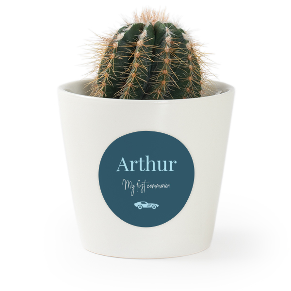 Pot de fleurs avec autocollant - lot de 12 Pot de fleurs avec autocollant - lot de 12