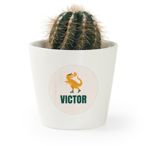 Flower pot with sticker - set of 12