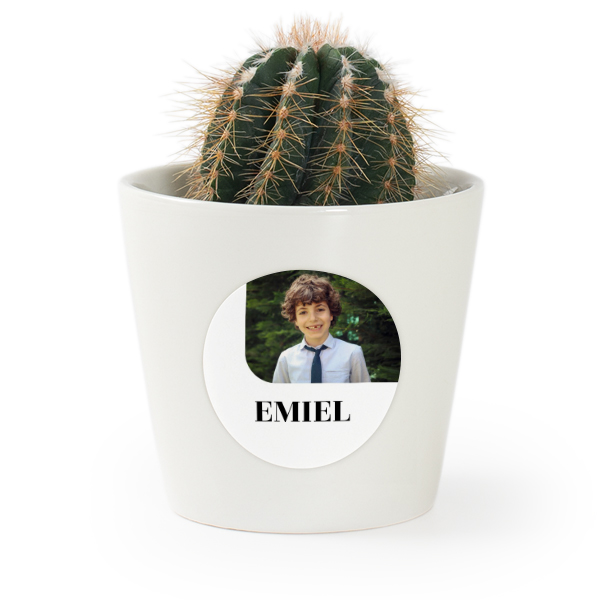 Bloempot met sticker - set van 12 Bloempot met sticker - set van 12