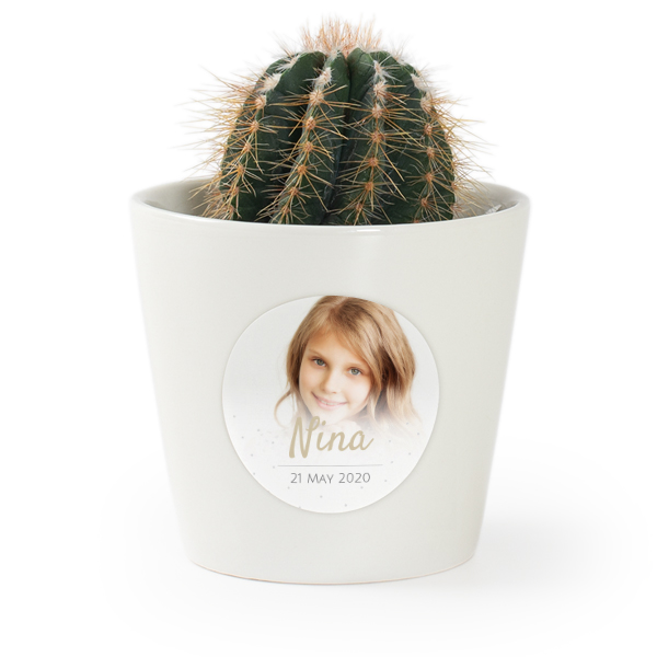 Plant Pot with Sticker - Set of 12