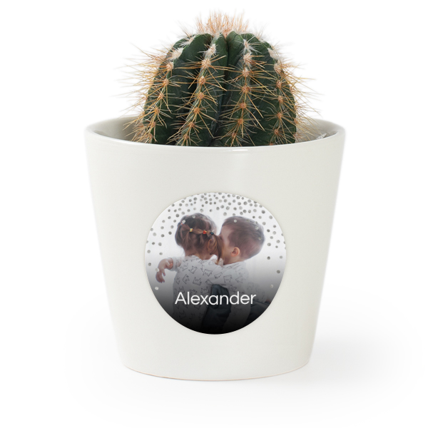 Flower pot with sticker - set of 12