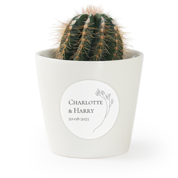 Plant Pot with Sticker - Set of 12 Plant Pot with Sticker - Set of 12