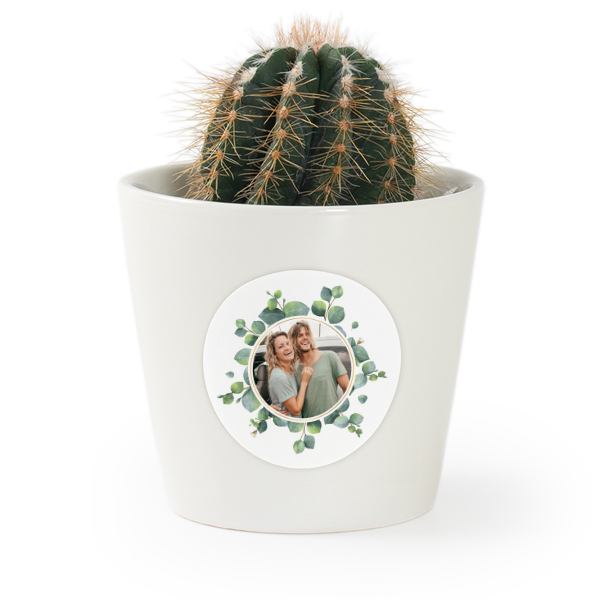 Bloempot met sticker - set van 12 Bloempot met sticker - set van 12
