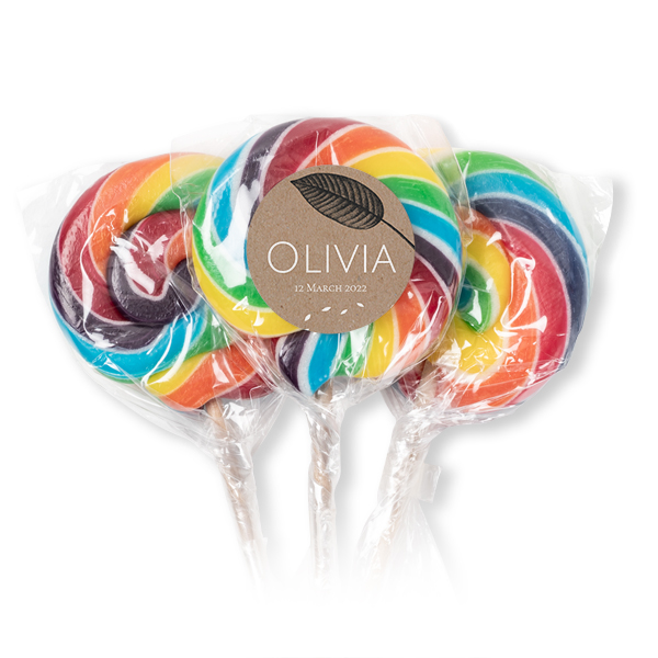 Lolly regenboog (set van 12)