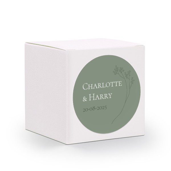 Boxes White Boxes White