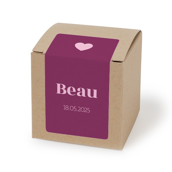 Beige rechteckige Partyboxen Aufkleber - 24 Stk.