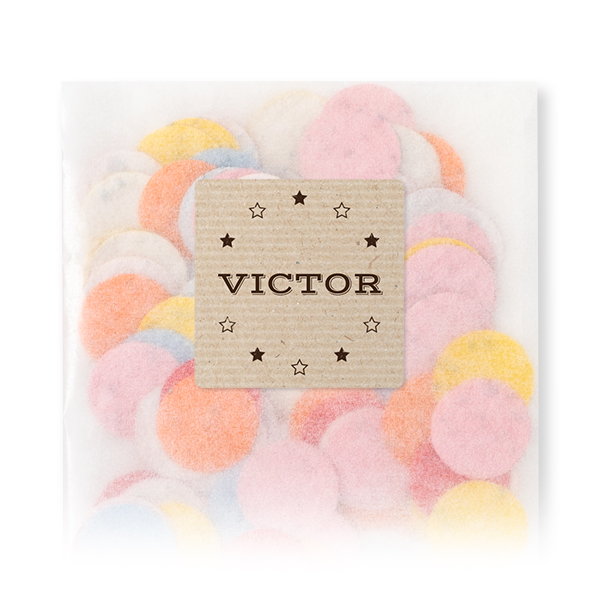 Sachets de confettis à semer avec autocollant carré (lot de 12)