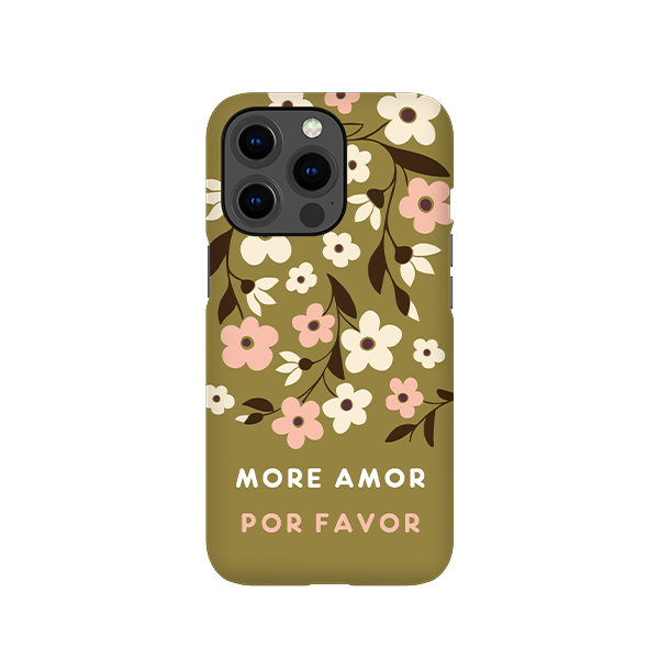 iPhone Cover 13 Pro