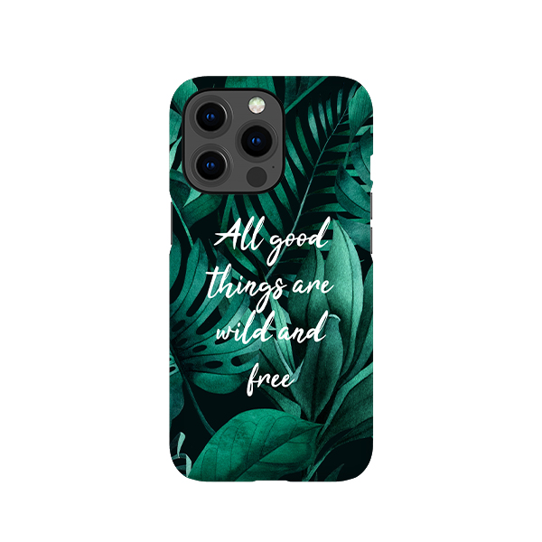 iPhone Cover 13 Pro