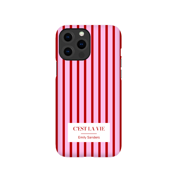 iPhone Cover 13 Pro Max