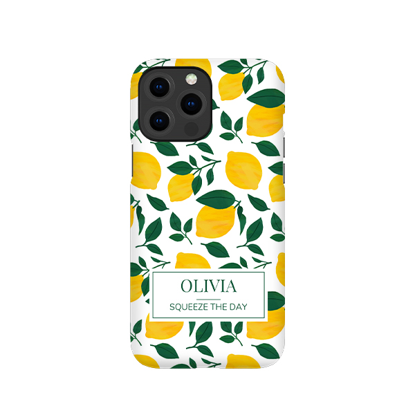 iPhone Cover 13 Pro Max
