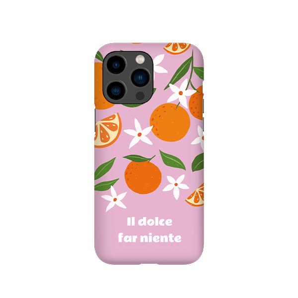 iPhone Cover 14 Pro Max