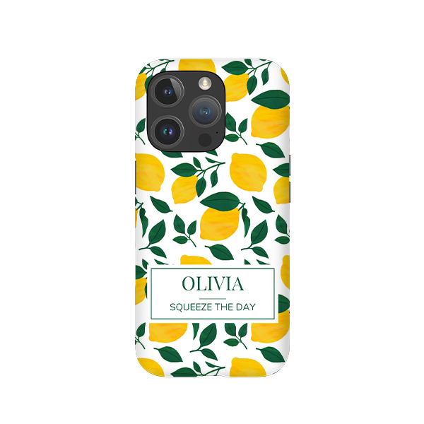 iPhone Cover 16 Pro