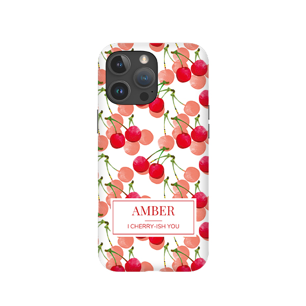 iPhone Cover 16 Pro Max