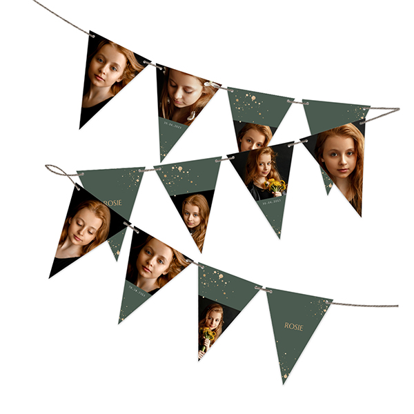Guirlande de fanions (16 drapeaux) Guirlande de fanions (16 drapeaux)