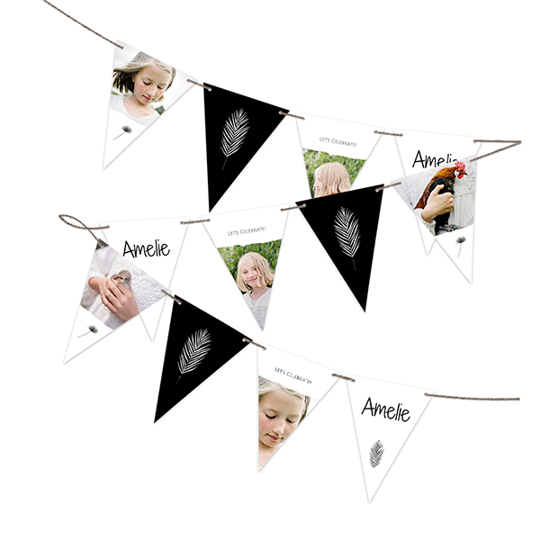 Party Flags (Set of 16) Party Flags (Set of 16)