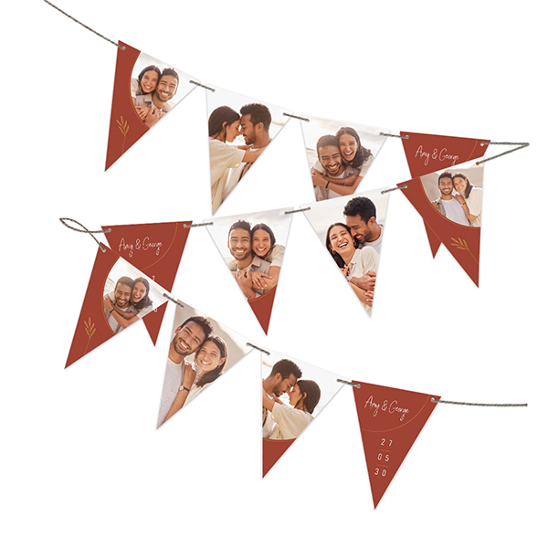 Guirlande de fanions (16 drapeaux) Guirlande de fanions (16 drapeaux)