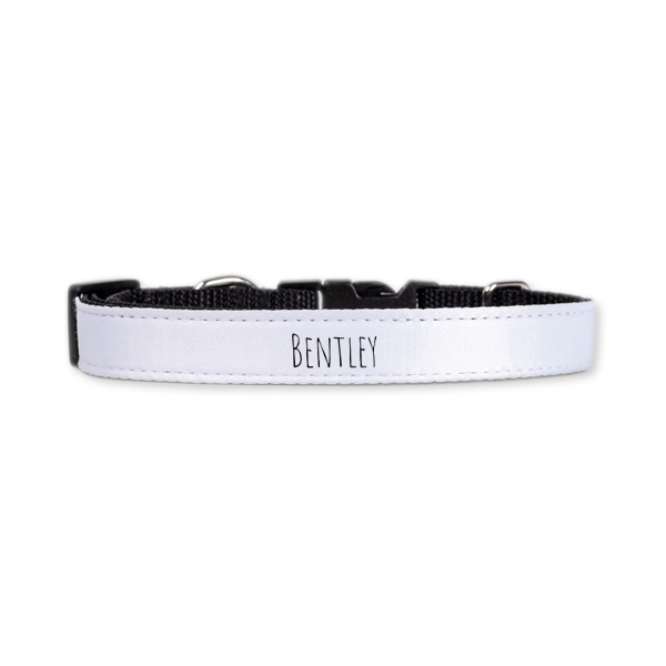 Halsband M 2 cm Halsband M 2 cm