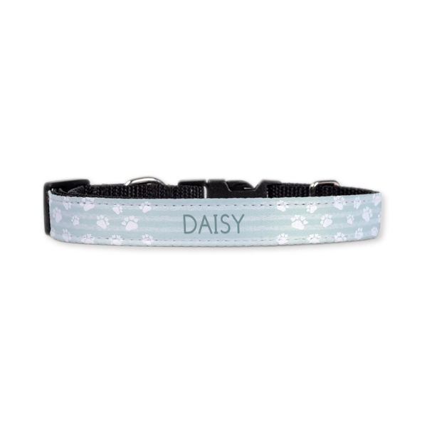 Dog Collar Medium 2cm Dog Collar Medium 2cm