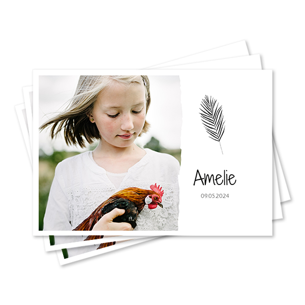 Set of Placemats - set of 24