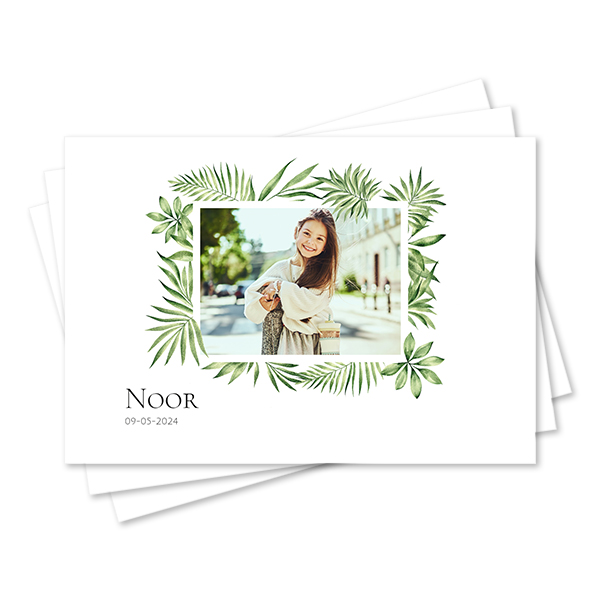 Set of Placemats - set of 24 Set of Placemats - set of 24