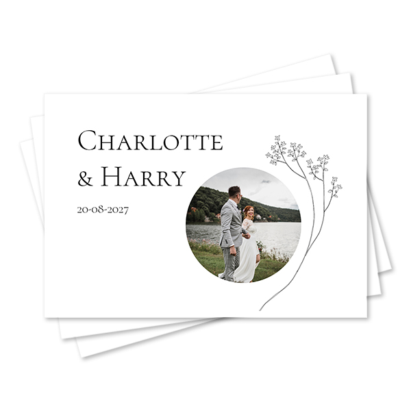Set of Placemats - set of 24 Set of Placemats - set of 24