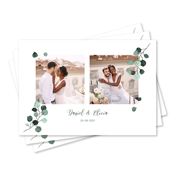 Set of Placemats - set of 24 Set of Placemats - set of 24