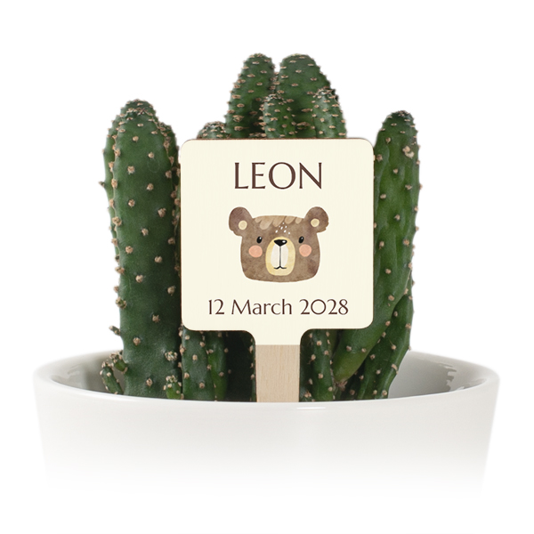 Bloempot met full color print houten plantenlabel (set van 12)