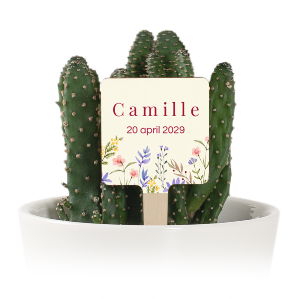 Bloempot met full color print houten plantenlabel (set van 12)