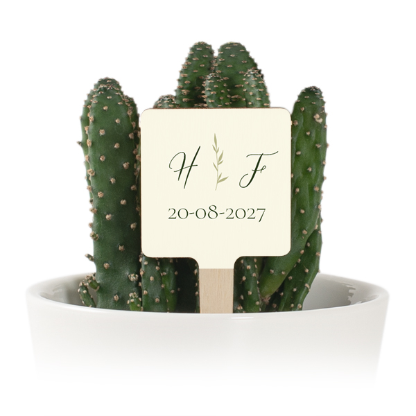 Plant Pot with UV Printed Wooden Label - Set of 12 Plant Pot with UV Printed Wooden Label - Set of 12