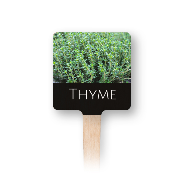 UV Print Wooden Plant Labels - Set of 12 UV Print Wooden Plant Labels - Set of 12