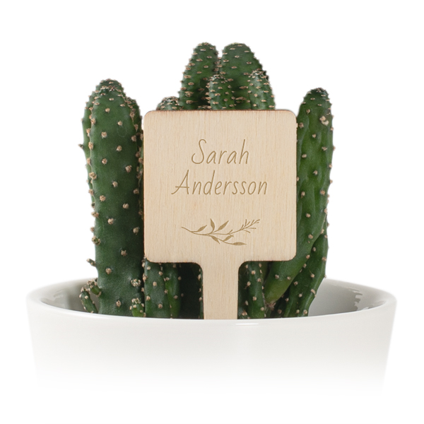 Bloempot met houten label - set van 12