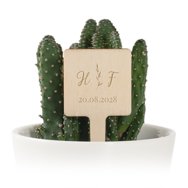 Plant Pot with Wooden Label - Set of 12 Plant Pot with Wooden Label - Set of 12