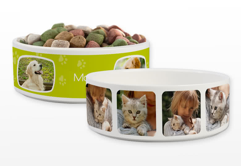 Make a Pet Bowl