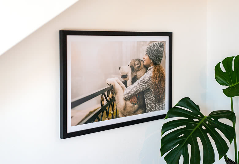 Framed Photo Posters