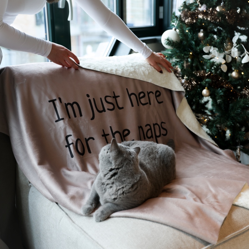 @Ariacous
