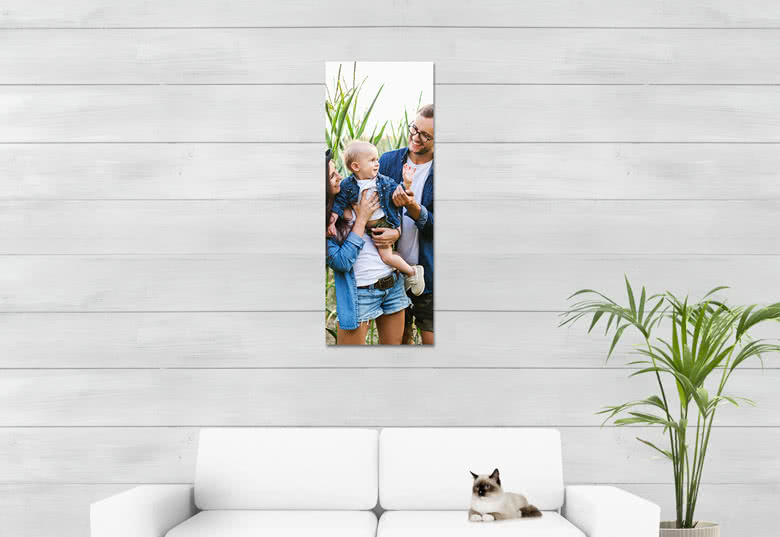 Tableau photo Forex 40 x 105 cm